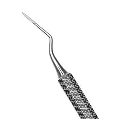Root Tip Pick 3 West Apical 