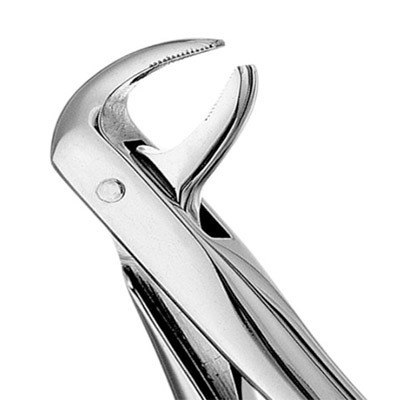 Forceps 74 Euro Style Serrated 