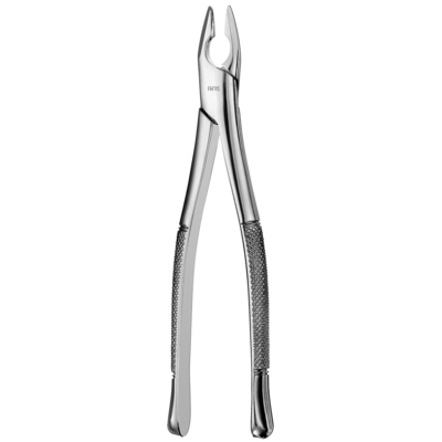 Forceps 1 Upper Anterior Apical IS