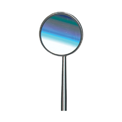 Mirror #4 Stainless Steel (1) 