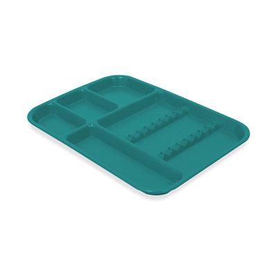 Divided Tray Teal B Size