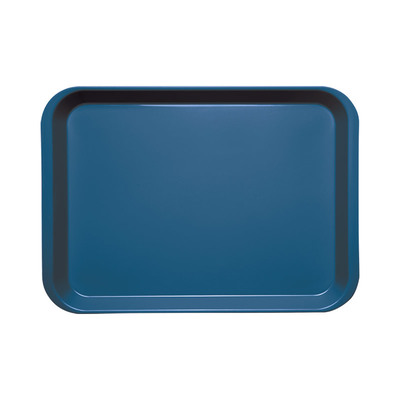 Tray Flat Size B Blue B-lok Sterilizable - No Dry Heat