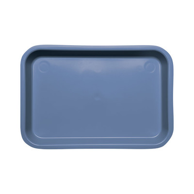 Tray Flat Size F Blue Sterilizable - No Dry Heat