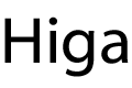 Higa Manufacturer Logo