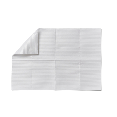 Alliance Dental Bib 13" x 19" 2-Ply Paper With 1-Ply Poly, White, 500/Case